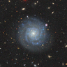 https://portal.nersc.gov/project/cosmo/data/sga/2020/html/186/NGC4411B/thumb2-NGC4411B-largegalaxy-grz-montage.png