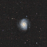 https://portal.nersc.gov/project/cosmo/data/sga/2020/html/188/NGC4535_GROUP/thumb2-NGC4535_GROUP-largegalaxy-grz-montage.png