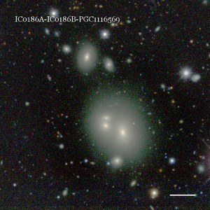 IC0186A-IC0186B-PGC1116569
