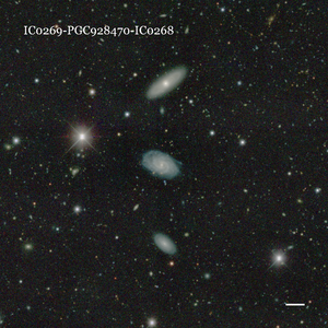 IC0269-PGC928470-IC0268