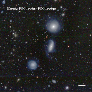 IC0962-PGC049627-PGC049630