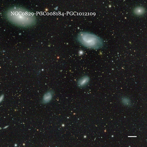 NGC0829-PGC008184-PGC1012109