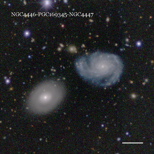 NGC4446-PGC169345-NGC4447