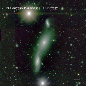 PGC007550-PGC007553-PGC007557