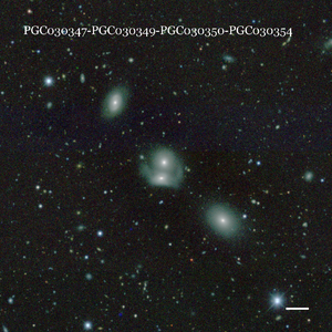 PGC030347-PGC030349-PGC030350-PGC030354