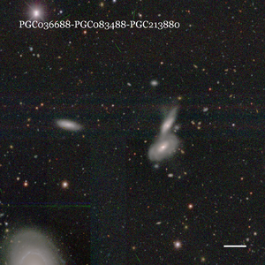 PGC036688-PGC083488-PGC213880