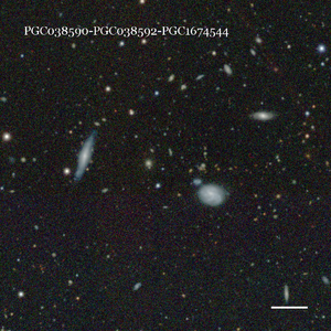 PGC038590-PGC038592-PGC1674544