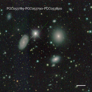 PGC053789-PGC053790-PGC053800