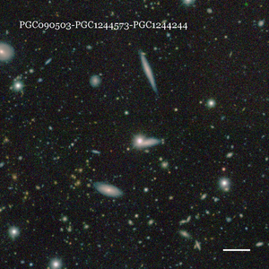 PGC090503-PGC1244573-PGC1244244