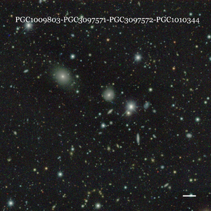 PGC1009803-PGC3097571-PGC3097572-PGC1010344