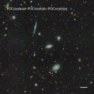 PGC1036047-PGC1036361-PGC1036593