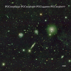 PGC1036232-PGC1036166-PGC144001-PGC1036077