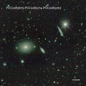PGC1083675-PGC1083174-PGC1083263