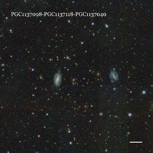 PGC1137098-PGC1137118-PGC1137040