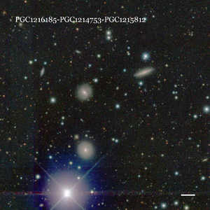 PGC1216185-PGC1214753-PGC1215812