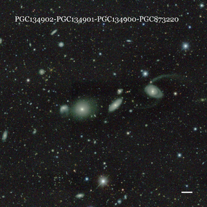 PGC134902-PGC134901-PGC134900-PGC873220