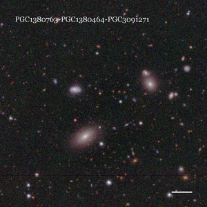 PGC1380763-PGC1380464-PGC3091271