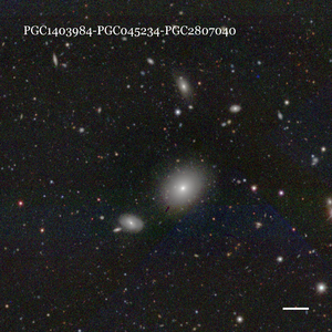 PGC1403984-PGC045234-PGC2807040