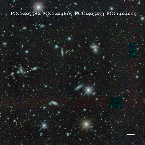 PGC1425582-PGC1424609-PGC1425473-PGC1424209