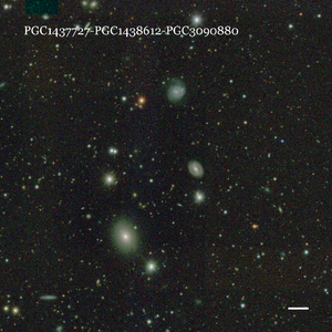 PGC1437727-PGC1438612-PGC3090880