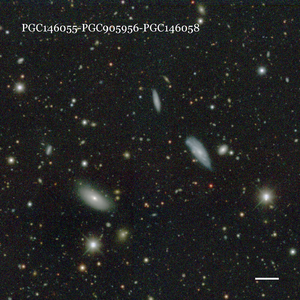 PGC146055-PGC905956-PGC146058