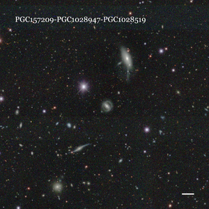 PGC157209-PGC1028947-PGC1028519