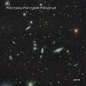 PGC173663-PGC173668-PGC931748