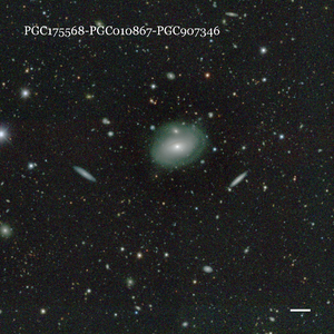 PGC175568-PGC010867-PGC907346