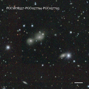 PGC1878557-PGC057794-PGC057793