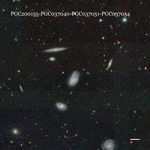 PGC200155-PGC037040-PGC037051-PGC037054
