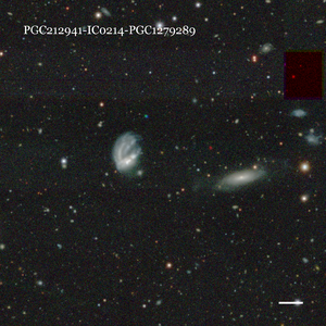 PGC212941-IC0214-PGC1279289