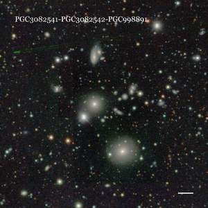 PGC3082541-PGC3082542-PGC998891