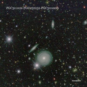 PGC3111121-PGC032252-PGC3111000
