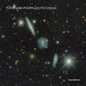 PGC872286-PGC872455-PGC165369