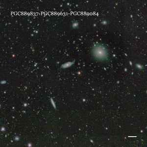 PGC889837-PGC889631-PGC889084