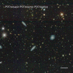 PGC925452-PGC925295-PGC925633