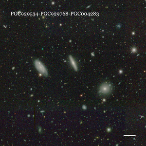 PGC929534-PGC929768-PGC004283