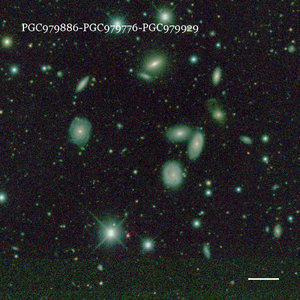 PGC979886-PGC979776-PGC979929