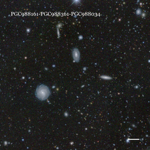 PGC988161-PGC988361-PGC988034
