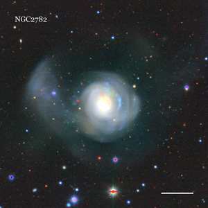 NGC2782