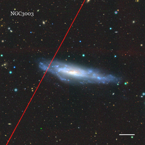 NGC3003