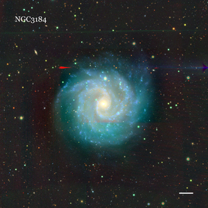 NGC3184