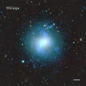 NGC4214