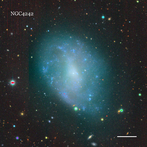 NGC4242