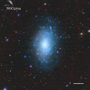 NGC5204