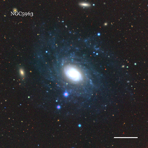 NGC5963