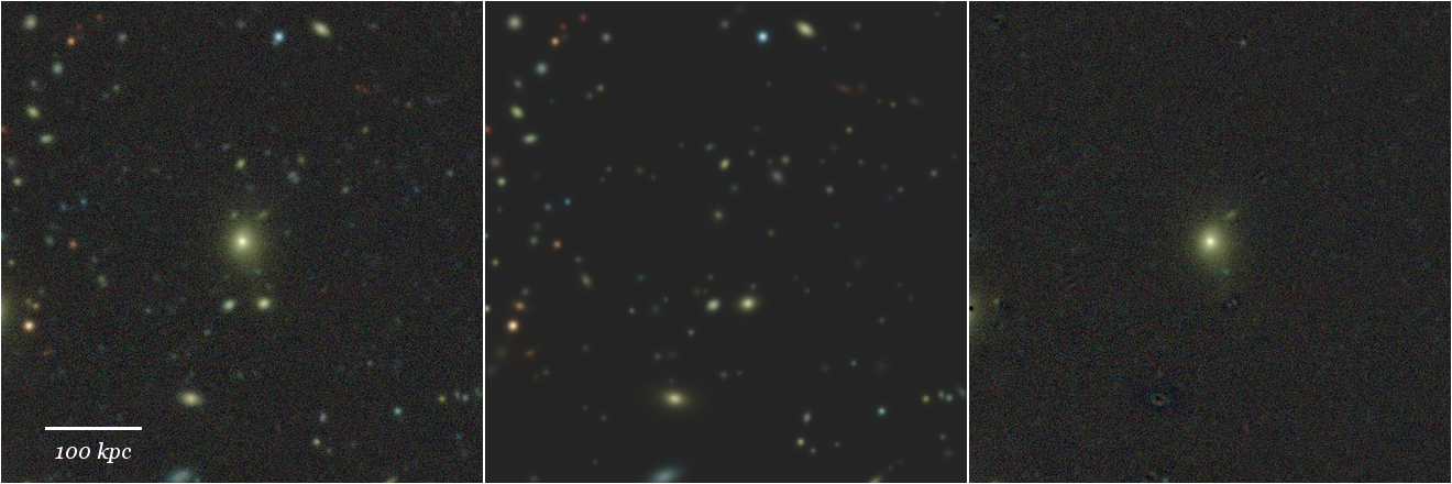 Missing file 38549307166576528-grz-montage.png