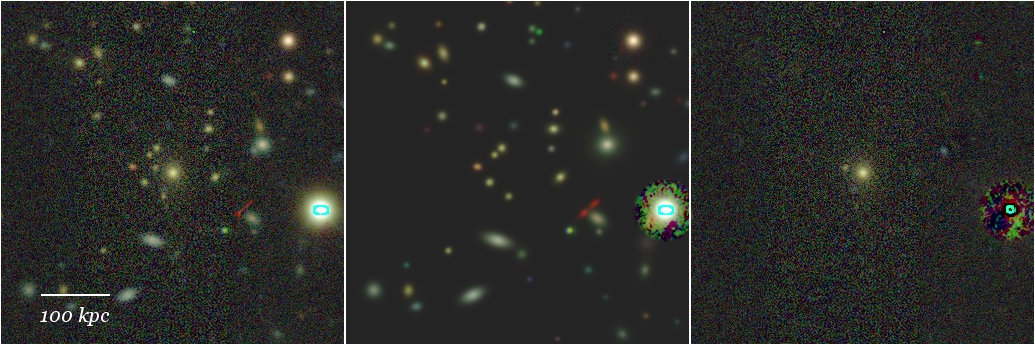 Missing file 41109099085065305-grz-montage.png