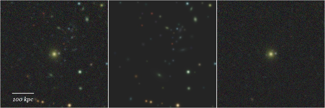 Missing file 41210005046715713-grz-montage.png