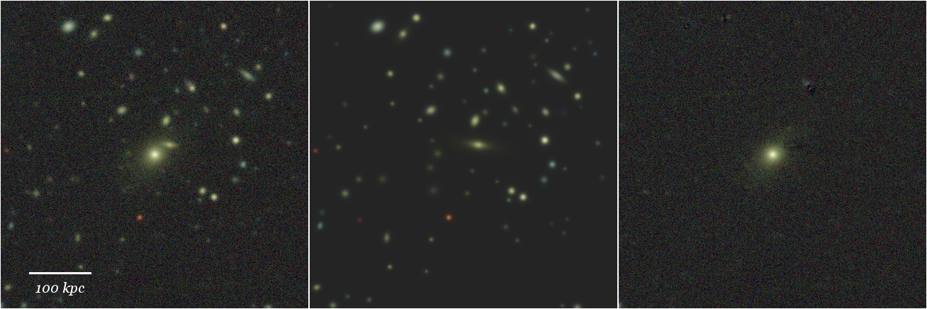 Missing file 41206264130197758-grz-montage.png